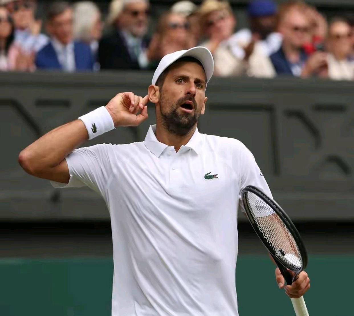 年终总决赛逆转ATP总决赛,德约科维奇高光表现 年终总决赛逆转ATP总决赛,德约科维奇高光表现