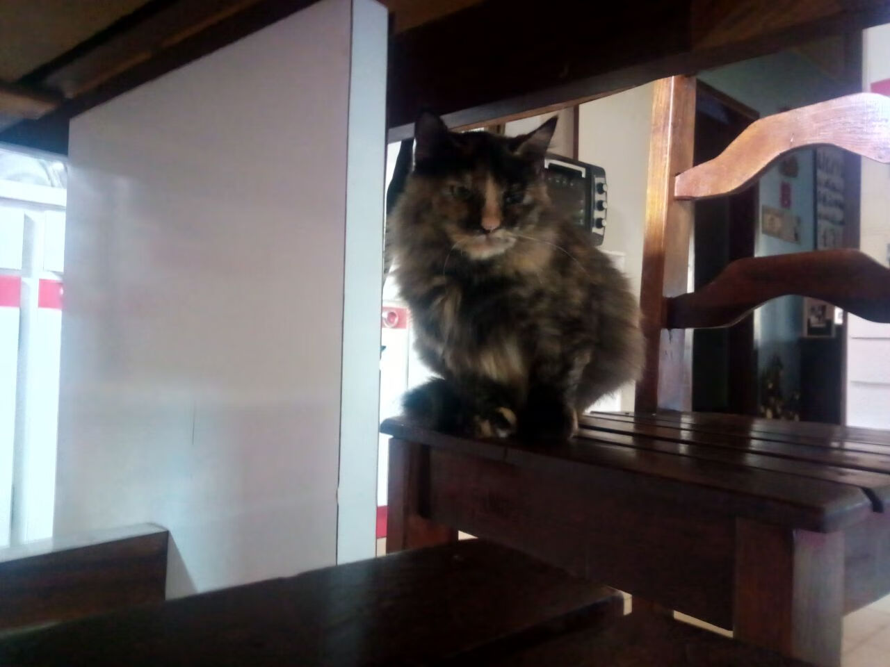 阿坎吉爆发!委内瑞拉爆冷英格兰背后,团队纪律如何战胜巨星云集?