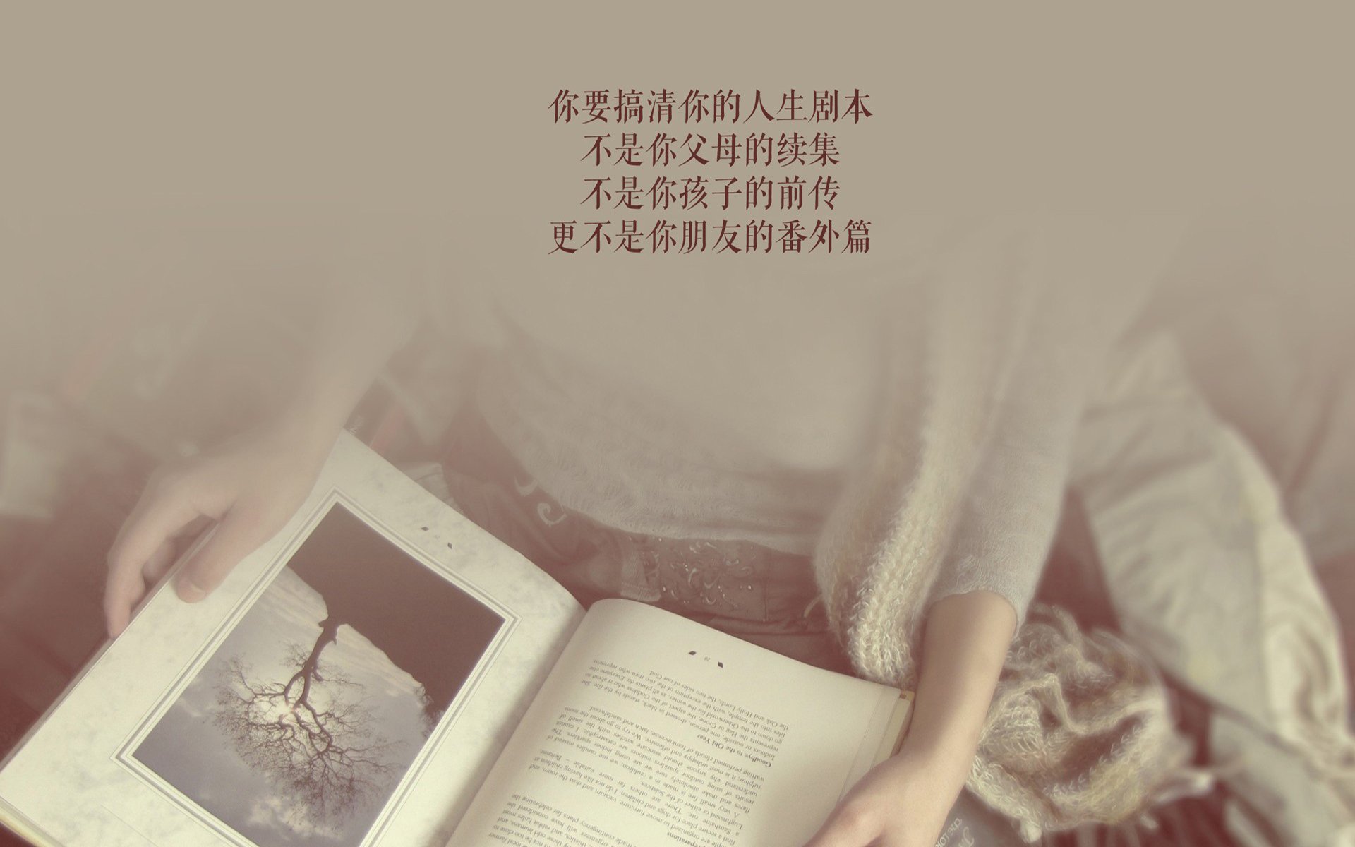 双线战场，当F1引擎的嘶吼遇见绿茵场的狂啸