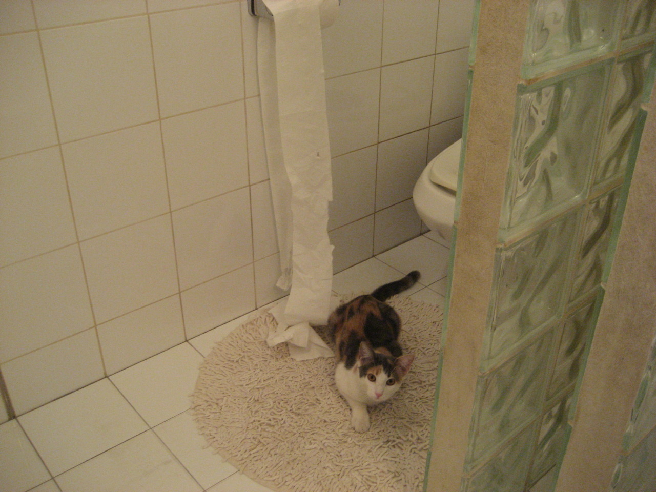 金色死神降临！杜兰特读秒绝杀，独行侠窒息达拉斯