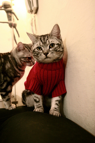 F1引擎轰鸣时，莫兰特扛起了整座城的心跳