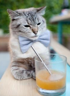 东决夜，那个绿茵场上的关键先生正在同步上演帽子戏法