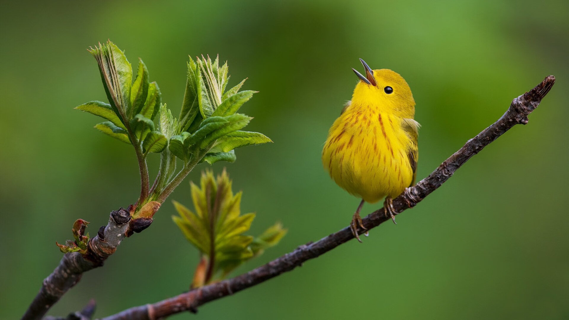 奥运周期关键战之夜，奥亚尔萨瓦尔关键进球定乾坤