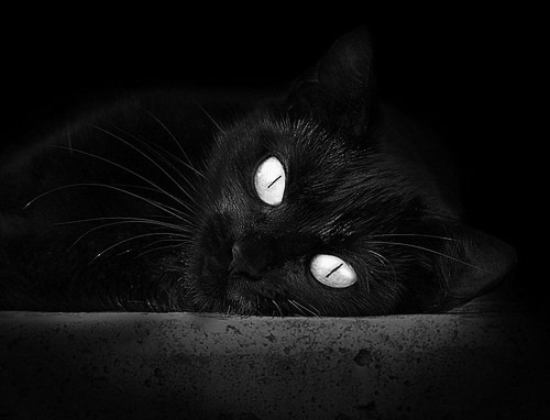 破茧成蝶！拉梅洛一剑封喉钱塘江，开拓者绝境重生