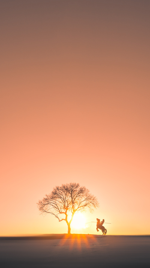 夜渡关山，东契奇在年度焦点之战中的王者接管