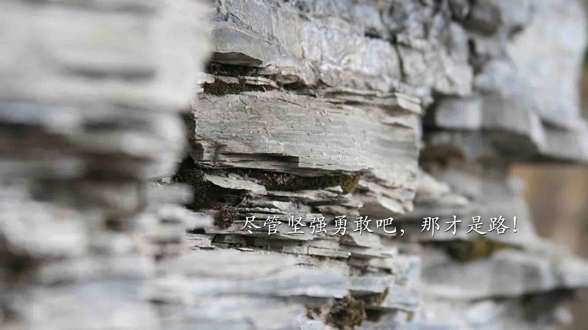 双星闪耀,马刺生死战逆转山西,乔治欧冠淘汰赛独揽风云