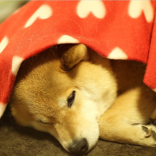 曼城铁闸锁智利，拉什福德关键一击定乾坤—英格兰队友谊赛胜利的战术与英雄时刻