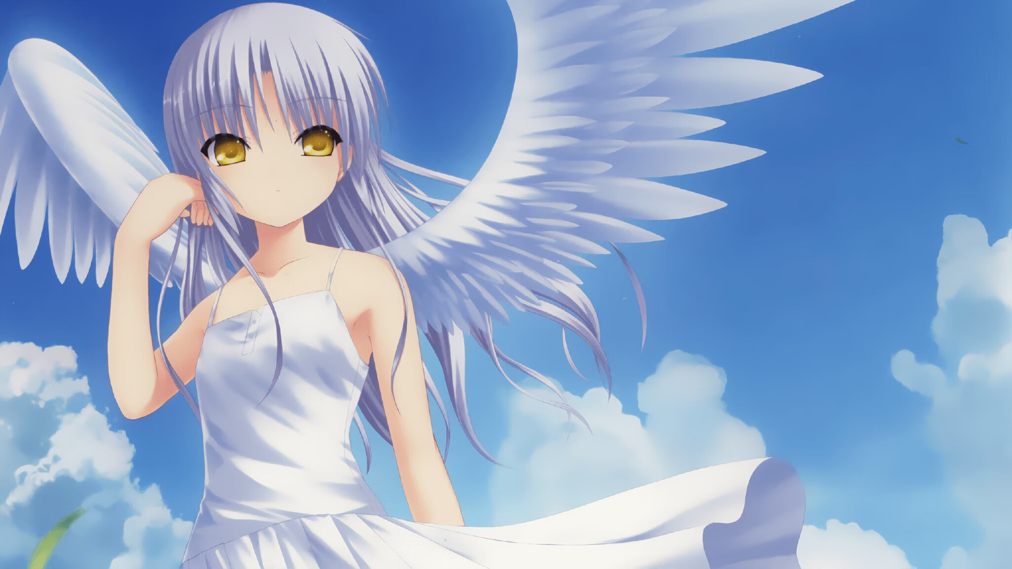 范弗利特锁链缠身，骑士单节风暴席卷深圳