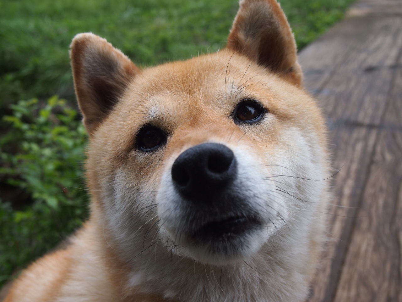 太阳险胜勇士，当英格拉姆的欧冠决赛在NBA球场上演