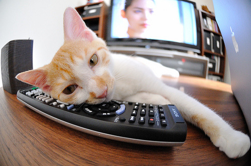 提前升起的太阳，深圳队如何在中超欧冠淘汰赛中终结悬念