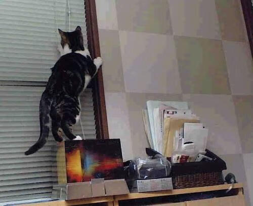 欧冠淘汰赛焦点战，喀麦隆正面击溃中国，黑马崛起引爆足坛热议