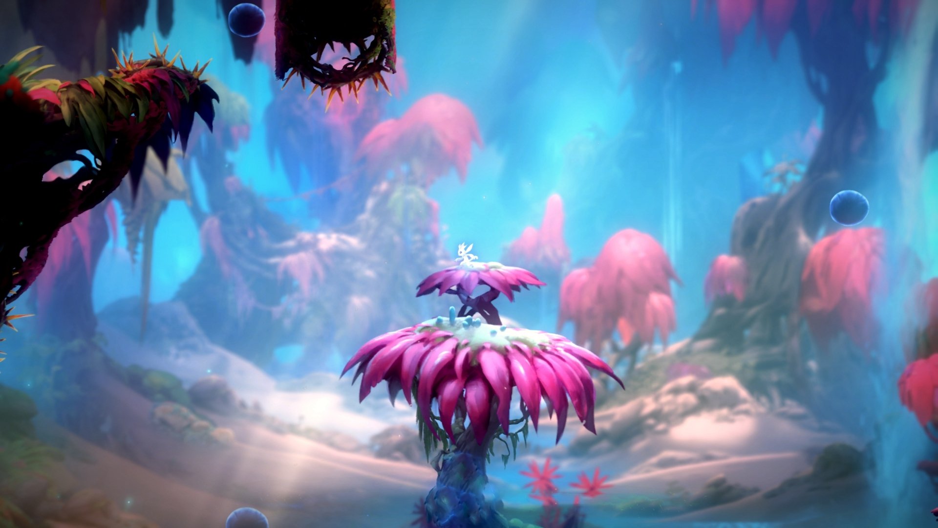 欧冠淘汰赛焦点战，喀麦隆正面击溃中国，黑马崛起引爆足坛热议