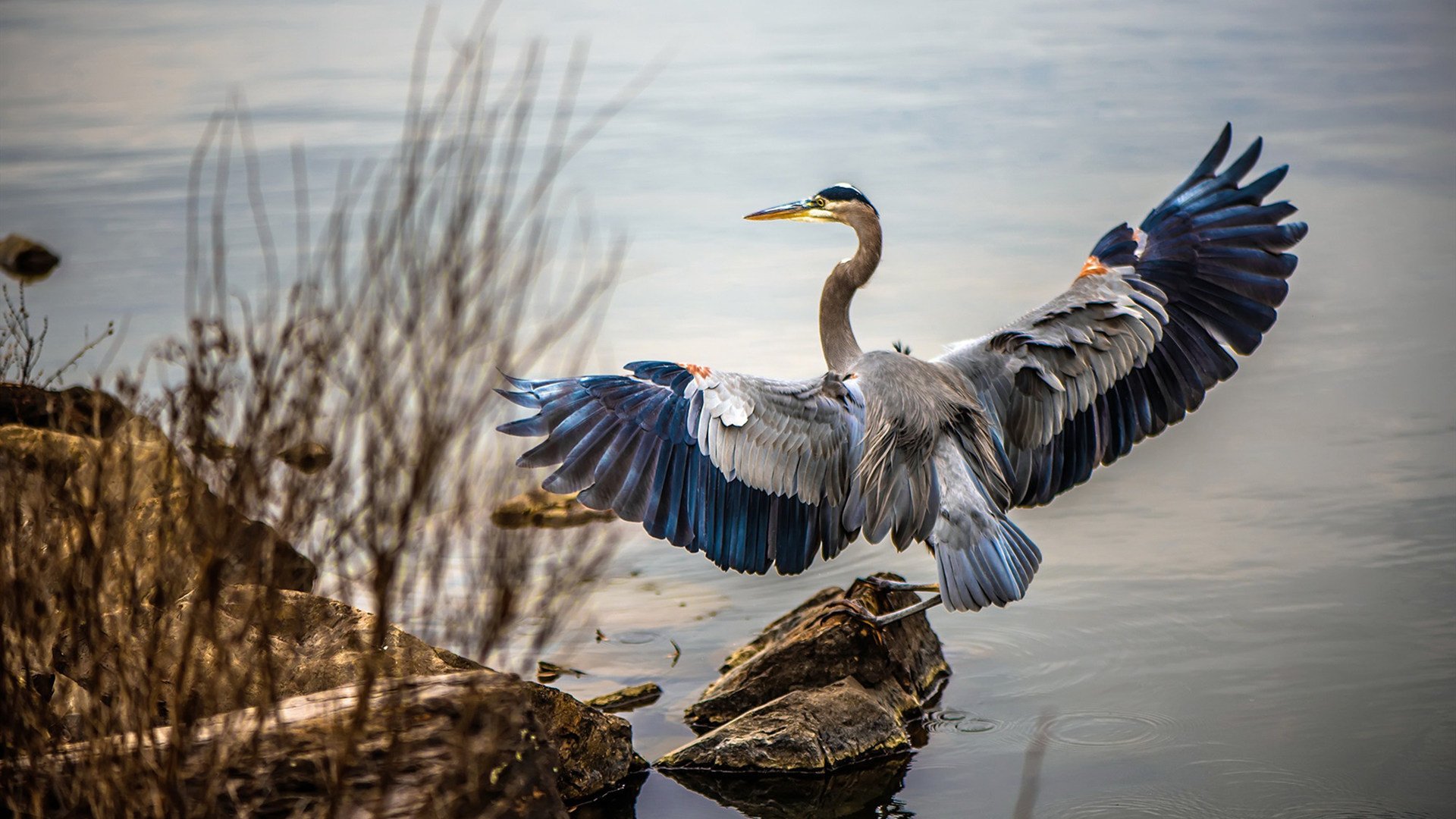 赛场跨界统治力，从新疆的团队铁壁到东契奇的单骑闯关