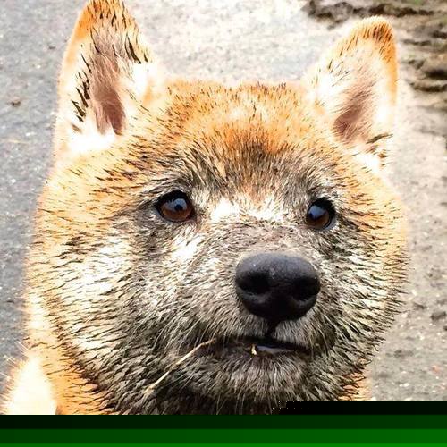 救赎之夜，快船破广厦铁阵，西亚卡姆终成关键先生