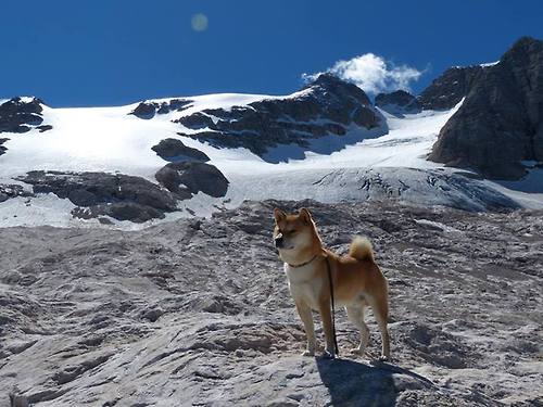 绝境亮剑！小贾伦48分生涯夜 吉林压哨三分险胜新疆