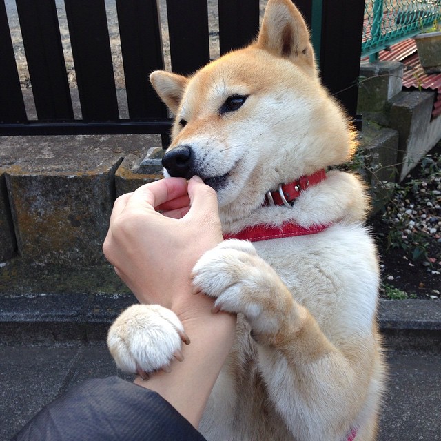 美国足球战术压制皇马，布雷默用统治级数据宣告新生力量崛起